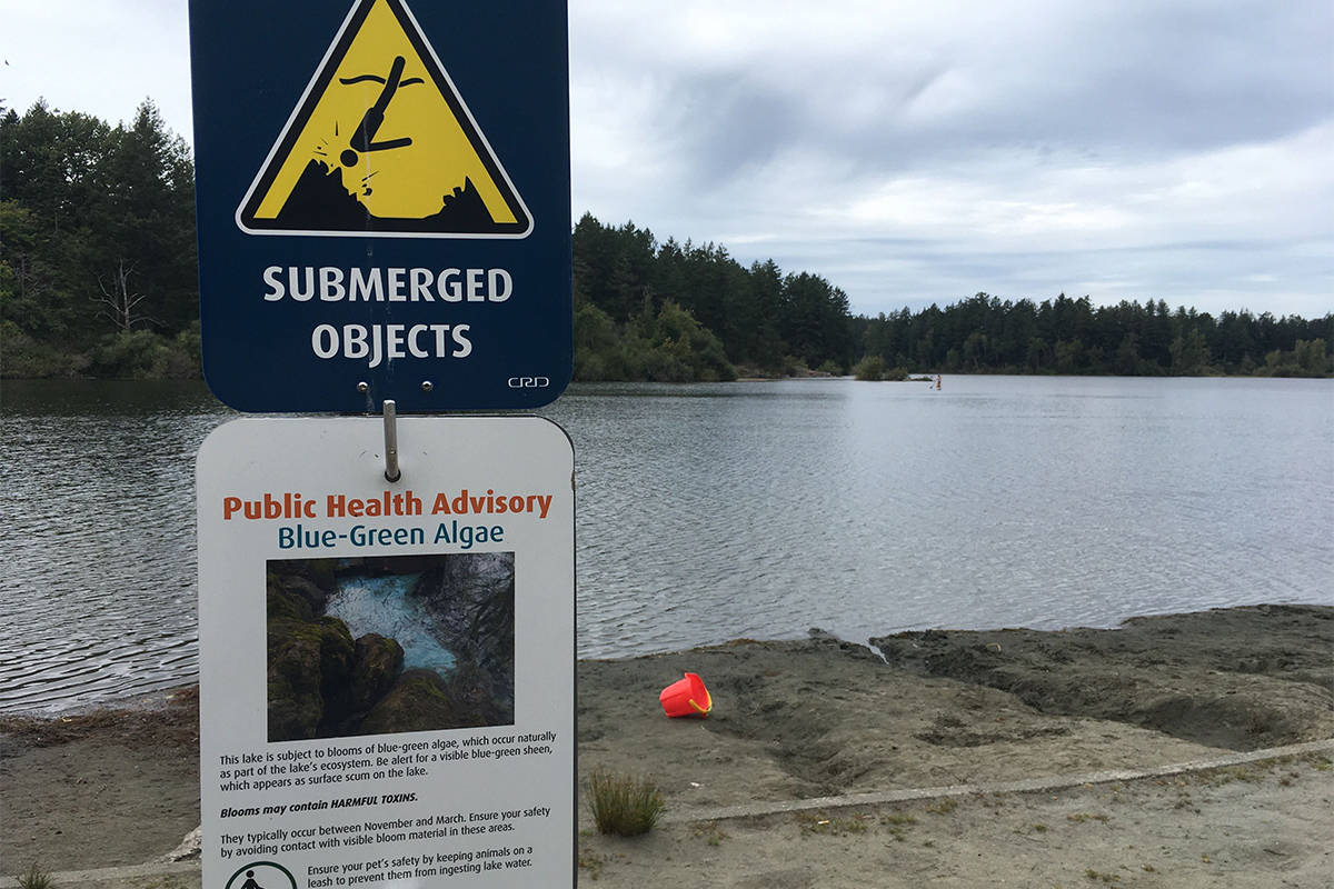 The province is pitching in to tackle toxicity in Elk and Beaver Lake, popular swimming and rowing spots for Greater Victoria. (Black Press Media file photos)