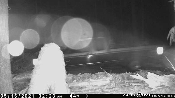 A game camera near the Klahoose reservation on Cortes Island caught this glimpse of a truck leaving the woodlot at around 2:30 on Sunday morning. Photo supplied by Klahoose First Nation