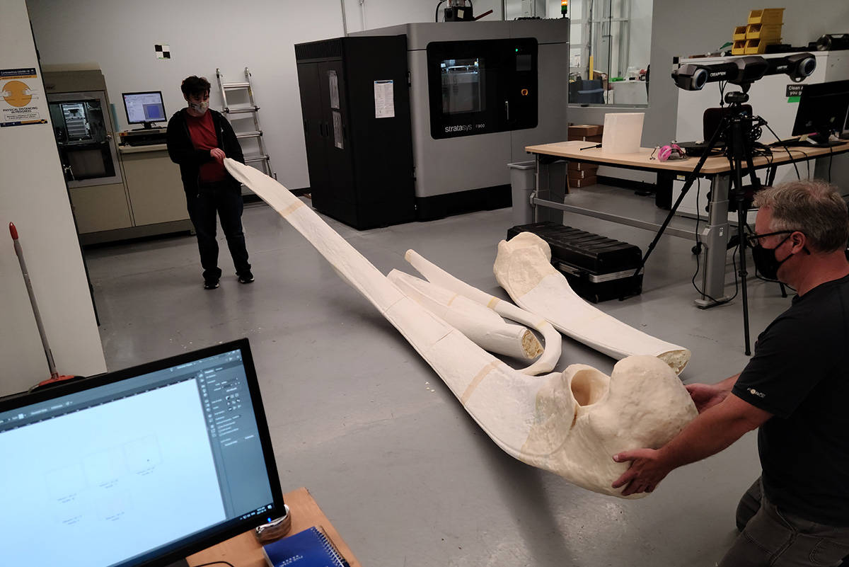 Cetacea’s 3D printed bone replicas can reach as long as 14 feet. (Camosun College)