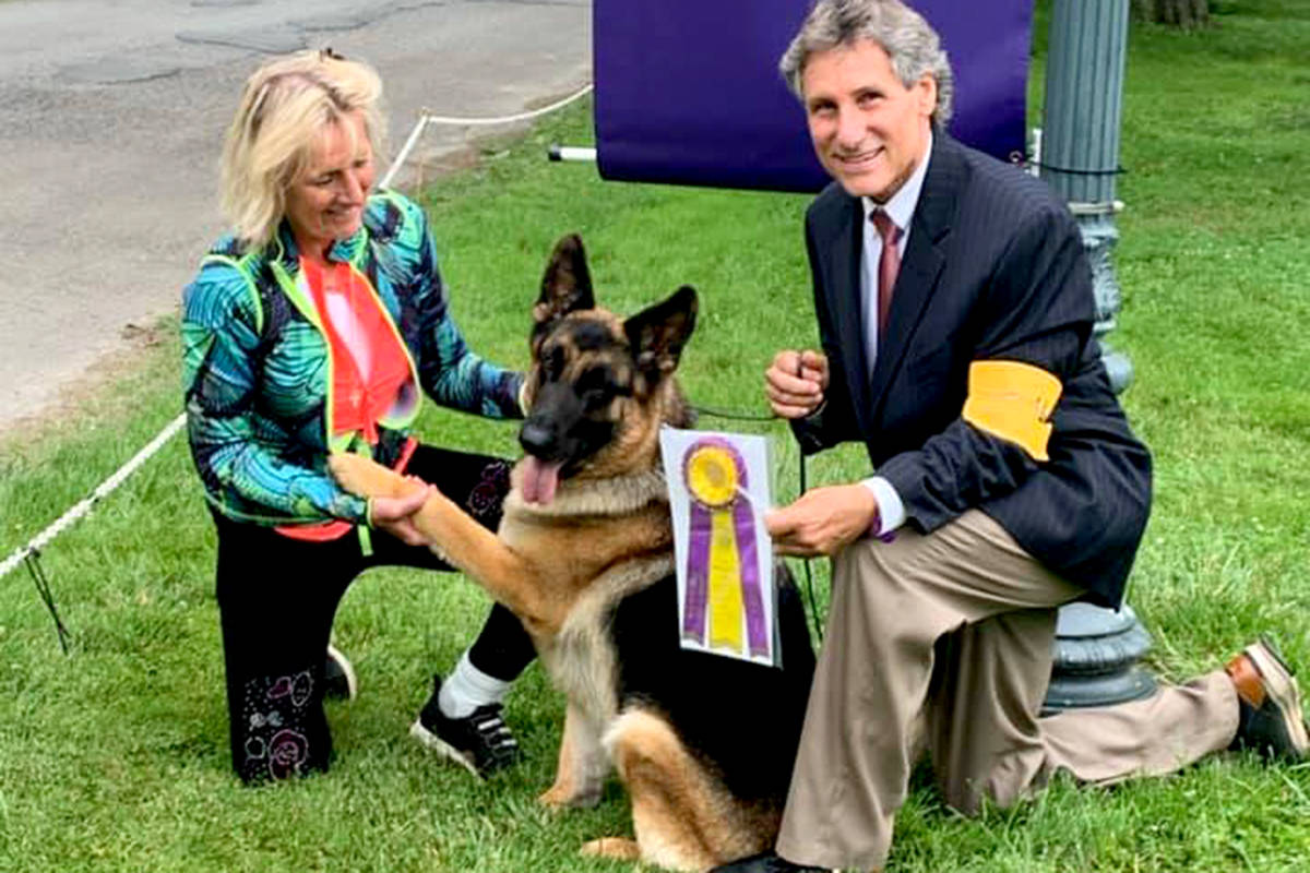 Arabella won the award for best of breed and earned fourth in sheep herding. (Special to The Star)