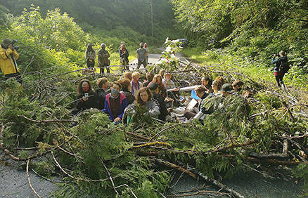 Old-growth logging protesters block a road on Monday, June 14. This is not the blockade at Honeymoon Bay referred to in the story. (Facebook photo)