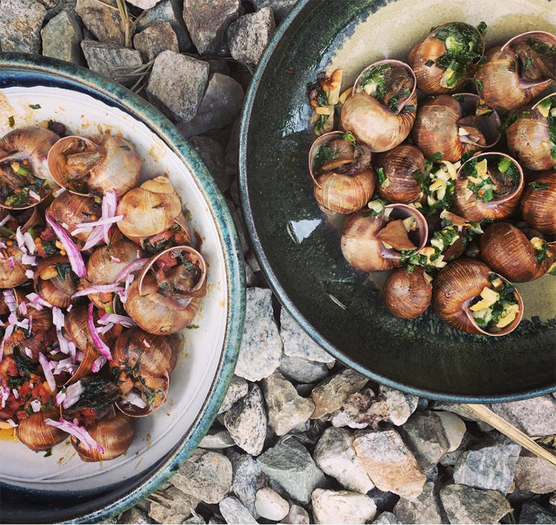 Although the process to prepare the snails is long, Revelstoke resident Hailey Ross said they are mighty tasty. (Contributed)