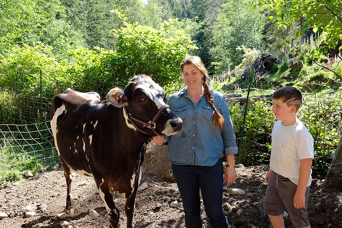 Kristy Sivorot and her son Griffin with Juniper, a lame, pregnant cow she bought from a large dairy operation to nurse back to health. Juniper gave birth to Junior, a bull calf, on July 21 and is doing well. (Zoe Ducklow - Sooke News Mirror)