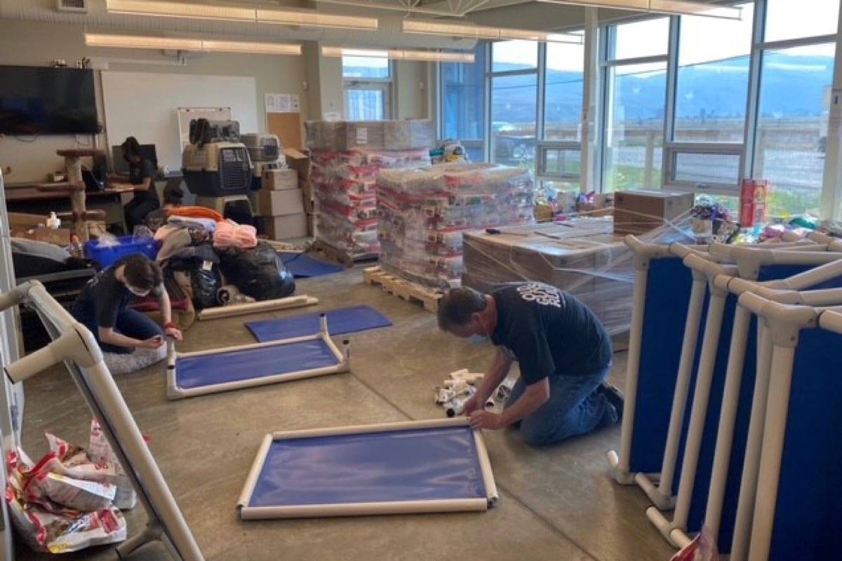 SPCA staff setting up a temporary Animal Evacuation Centre in Kamloops to house animals displaced from the fire in Lytton. (Photo credit: BC SPCA)
