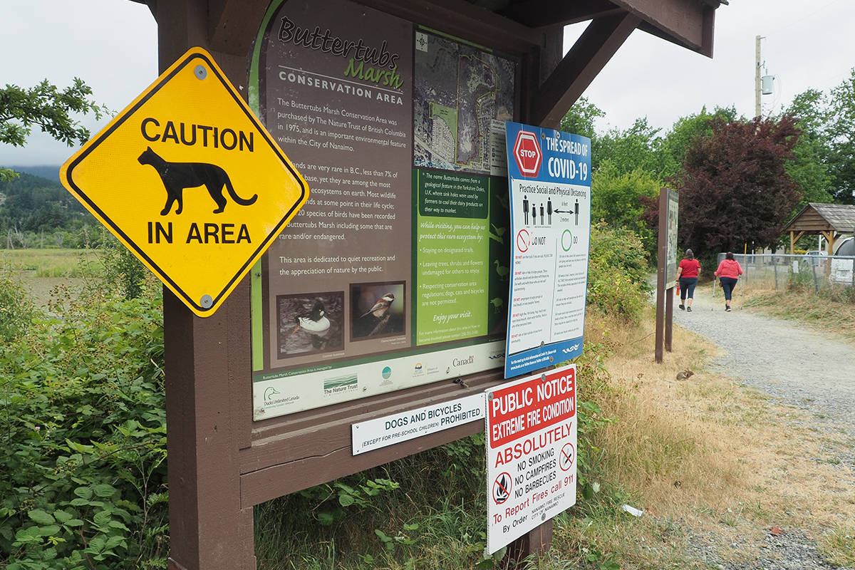 Officials are warning Nanaimo residents of a cougar spotted in the Buttertubs Marsh area. (Chris Bush/News Bulletin)