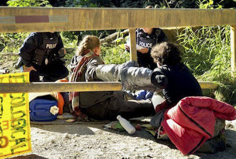 RCMP officers remove protesters who had locked themselves to a forestry road gate near Honeymoon Bay on Monday, July 12. (Submitted)