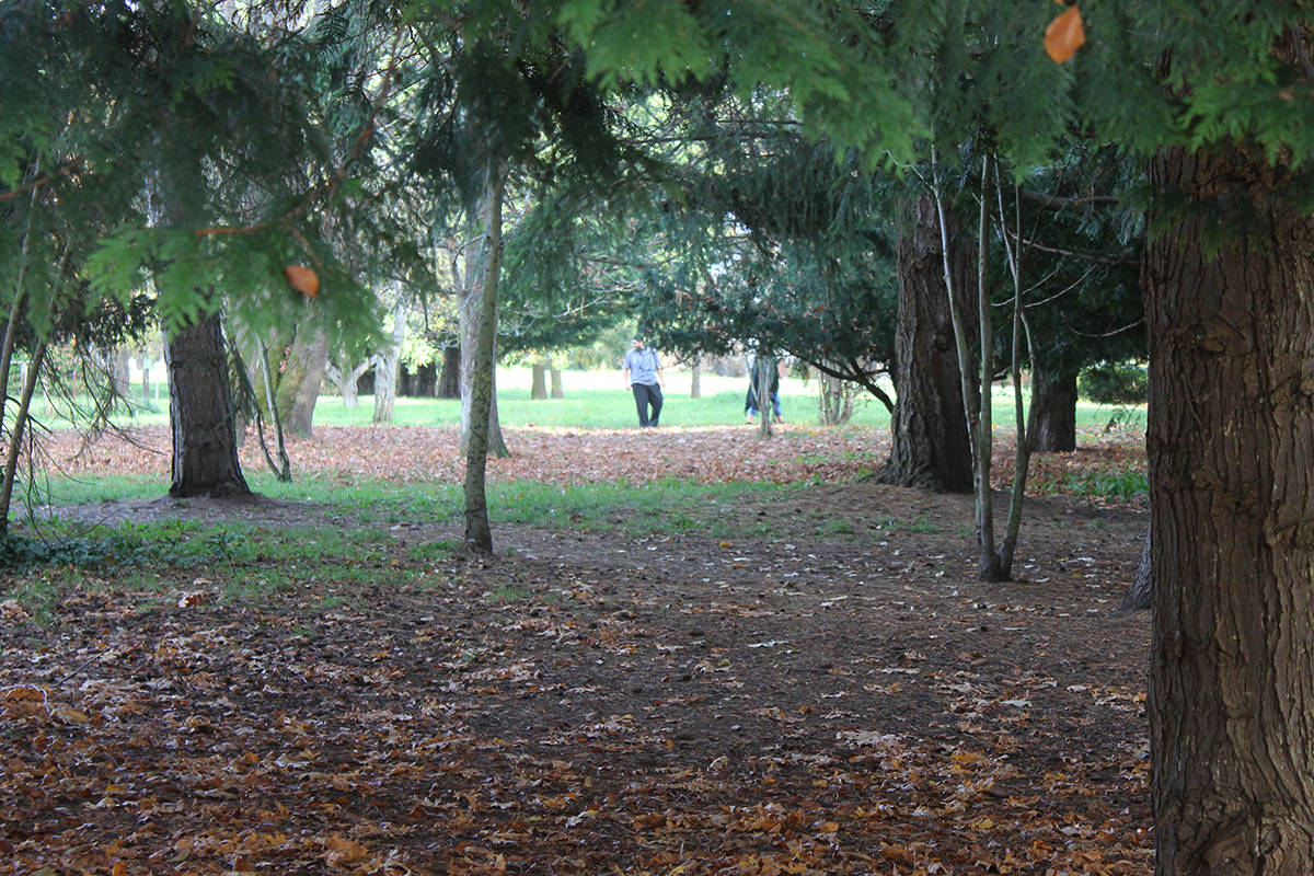 The Kings Park green space in Saanich. (Black Press Media file photo)