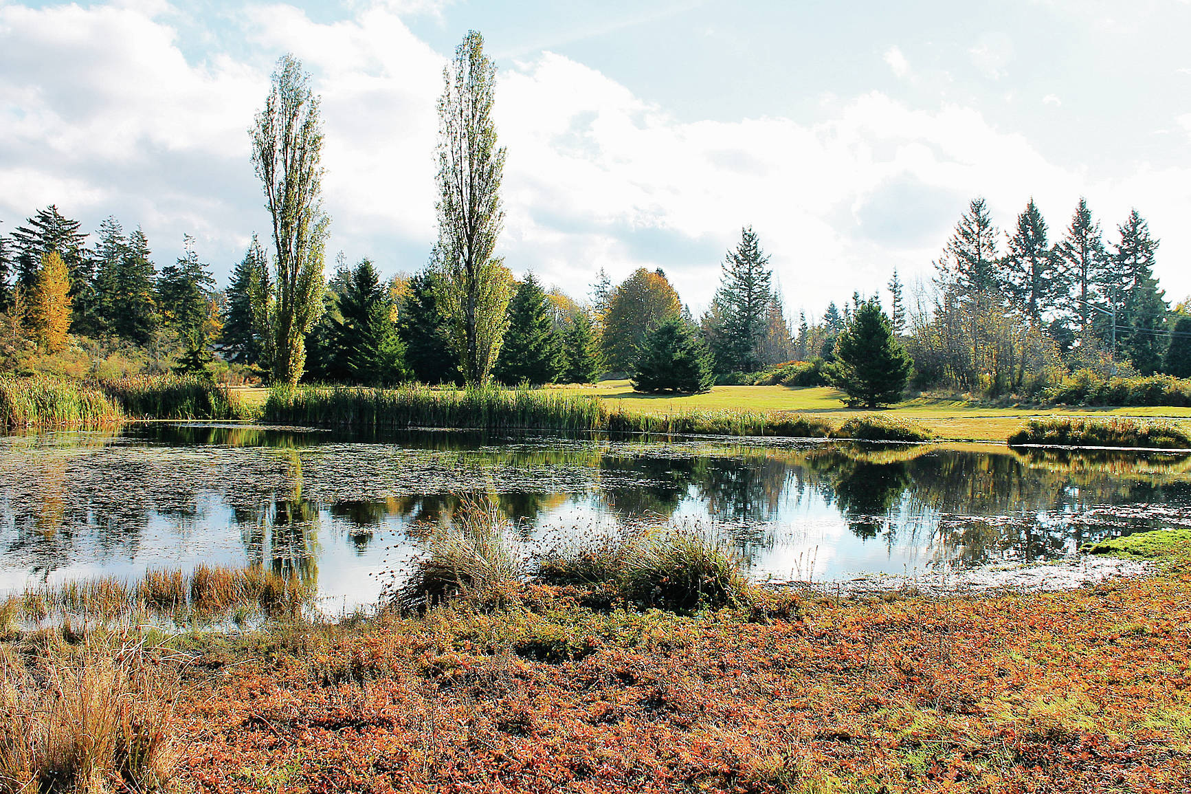 Sooke district council eyes a development plan for John Phillips Memorial Park. (File - Sooke News Mirror)