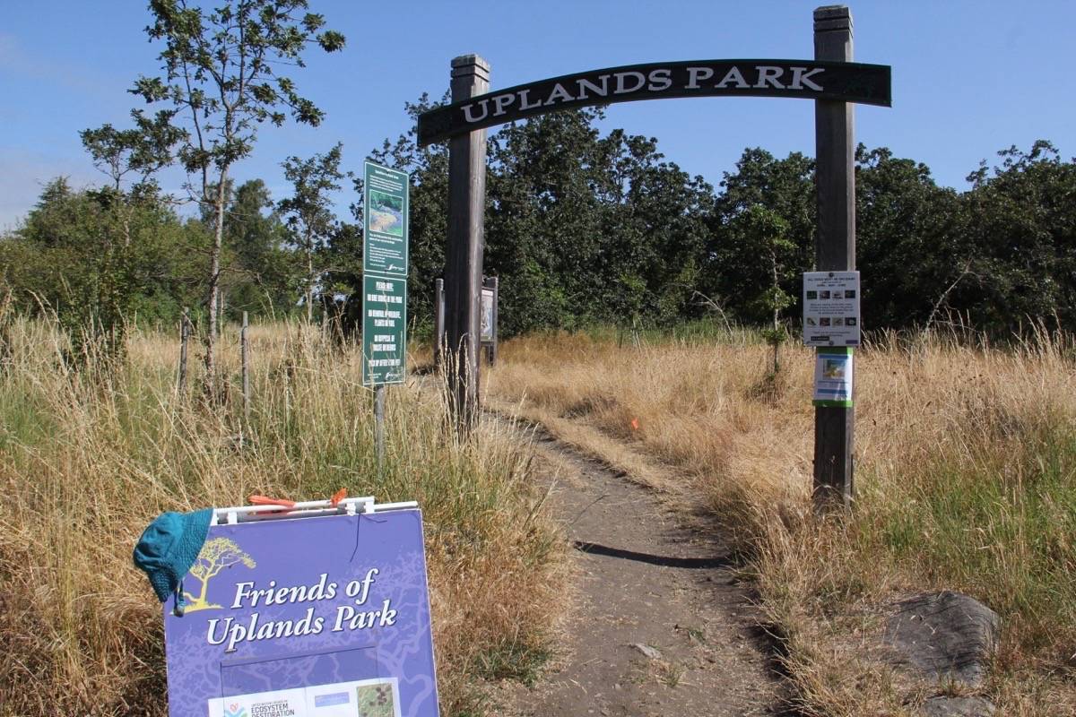 In Oak Bay, Uplands Park has grass throughout that becomes very dry with the summer heat, however, there is a very limited number of coniferous trees within the park and as a result, when a fire does occur it tends to be of low intensity and relatively slow growth. (Christine van Reeuwyk/News Staff)