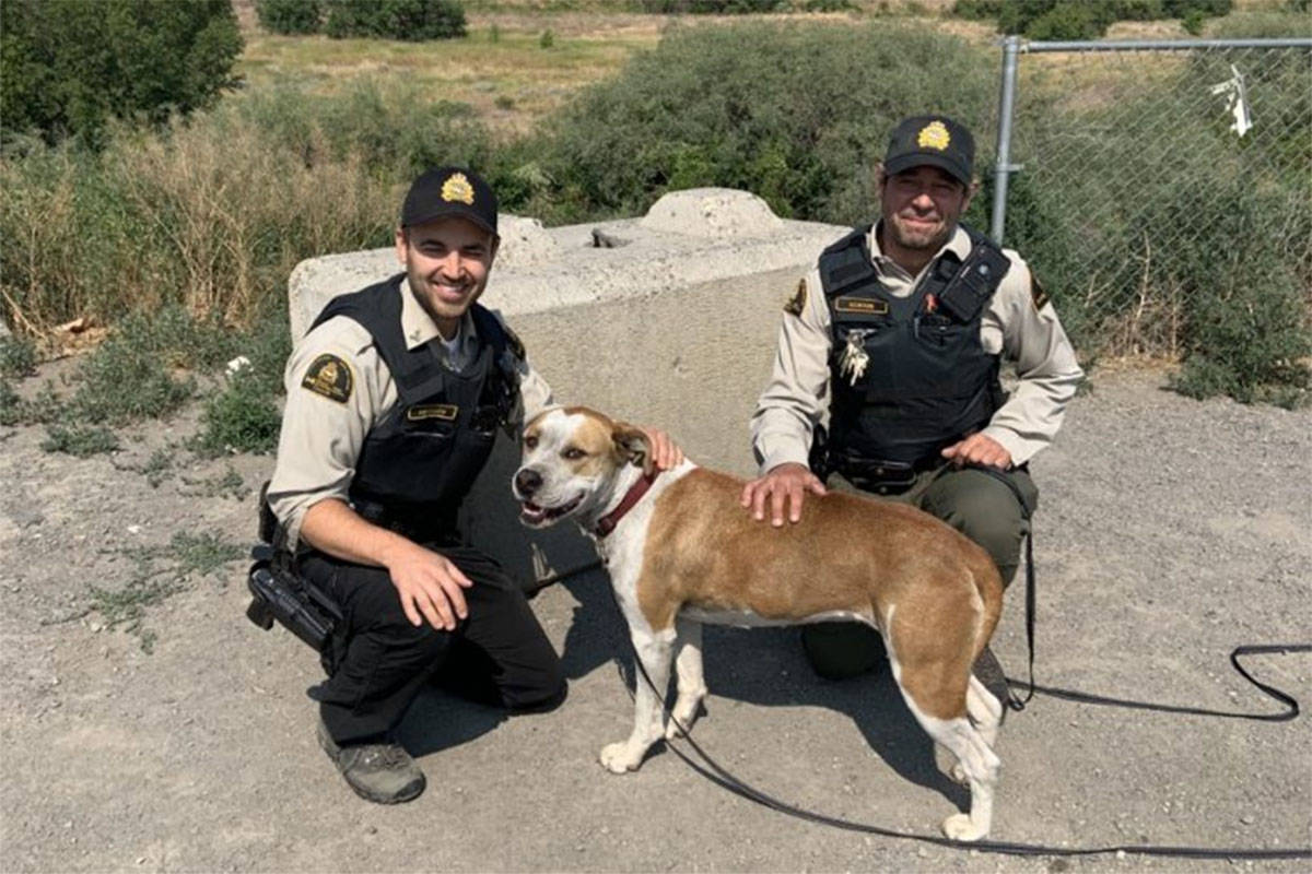 Two officers with a dog who was found after the Lytton fire. (Contributed/BC SPCA)