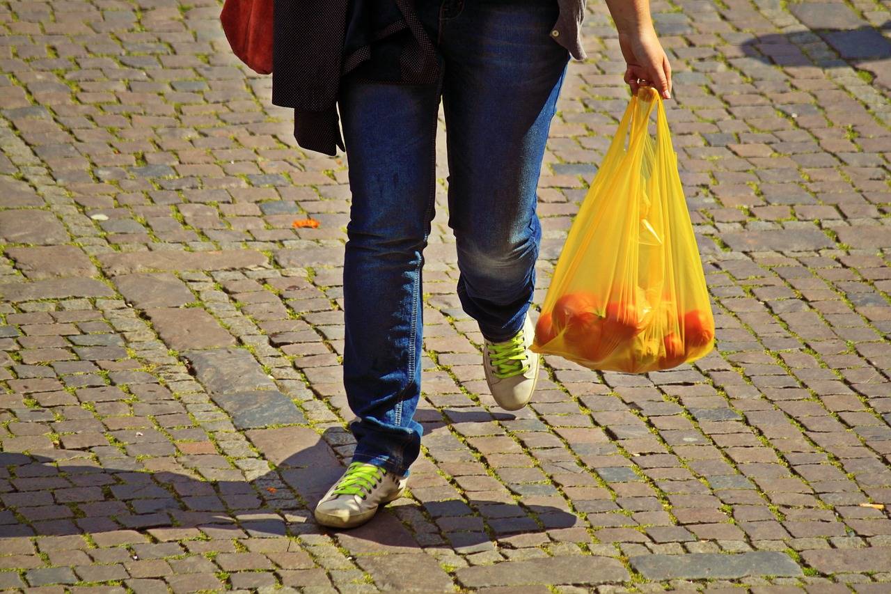 Esquimalt, Nanaimo, Richmond, Rossland, Saanich, Surrey, Tofino, Ucluelet and Victoria all have plastic bag bans. (Pixabay.com)