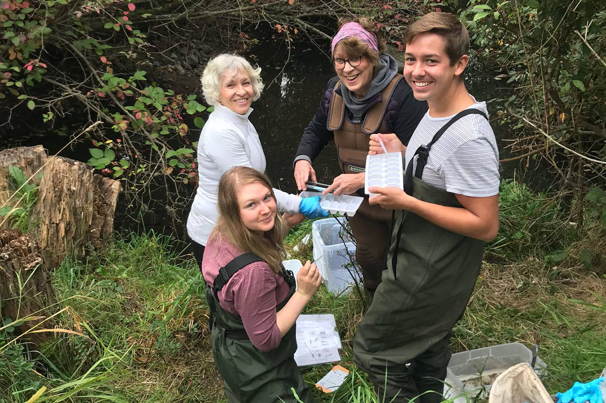 Bev Gniazdowski (clockwise from front left), Adele Hartum, Storm Kirkland and Brandon Williamson sample invertebrates at Bowker Creek. (Photo by Jessica Hartum/Friends of Bowker Creek Society)