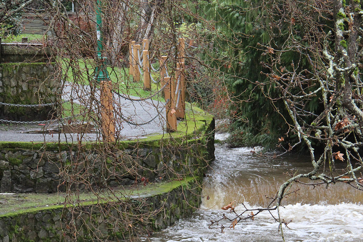 Route mappers refuse to divulge whether the Bowker Creek walkway will feature in this year's New Year's Day community walk. (Christine van Reeuwyk/Oak Bay News)