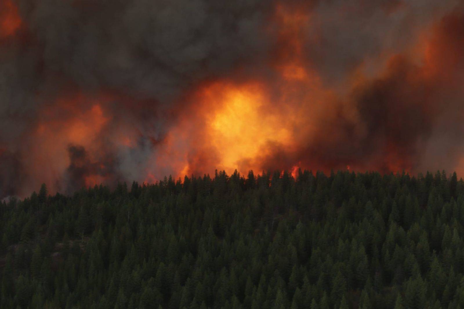 The White Rock Lake wildfire pictured on Aug. 4. (BC Wildfire Service photo)