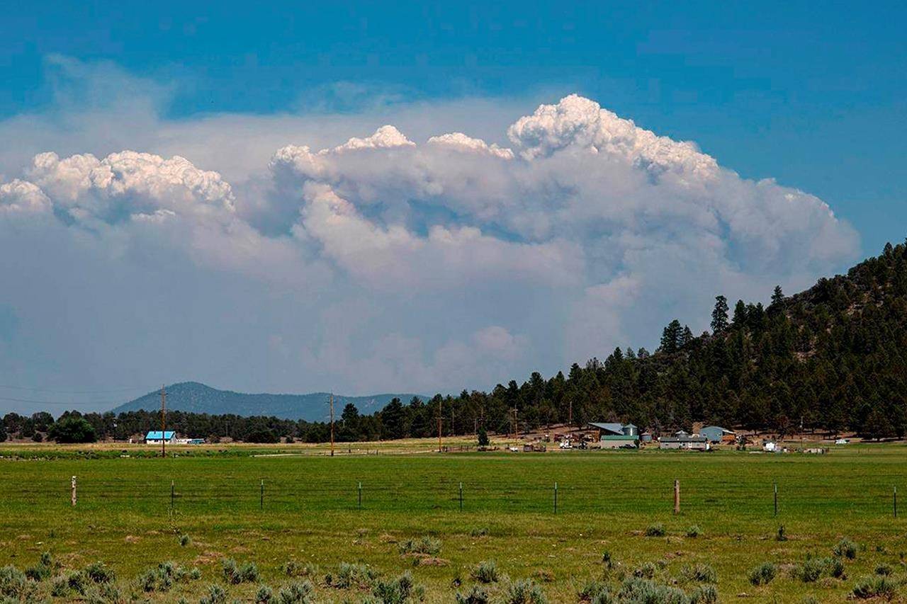 In this photo provided by the Bootleg Fire Incident Command, columns of smoke rise from the Bootleg Fire in southern Oregon on Sunday, July 18, 2021. The federal government says neither Canada nor the United States can spare each other any extra personnel as they deal with one of the most severe wildfire seasons in recent memory. THE CANADIAN PRESS/AP-Bootleg Fire Incident Command via AP