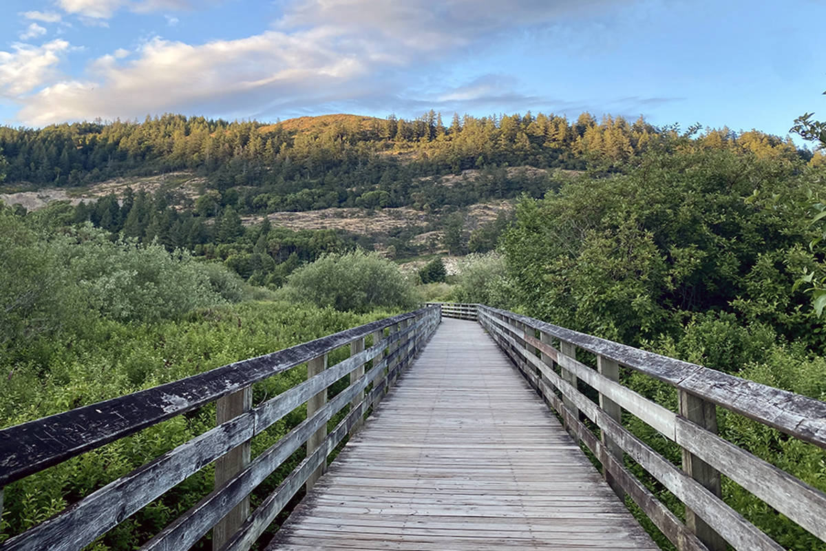 Part of the Ed Nixon Trail goes through a piece of property Langford put up for sale in June. A $2.9-million offer from Seacliff Properties will be considered by city council at its Aug. 16 meeting. (Zoe Ducklow/News Staff)