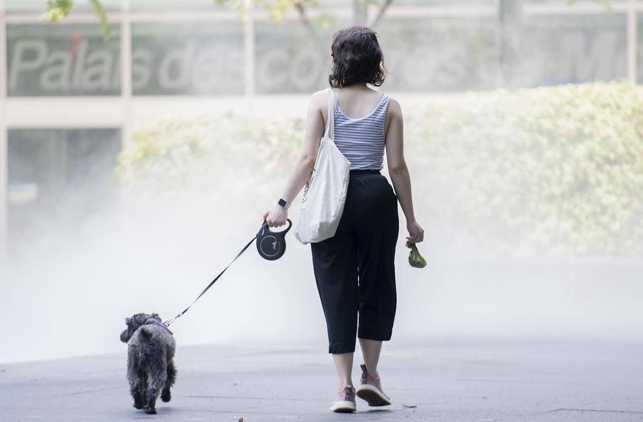 A woman walks her dog as mist rises from a water fountain in Montreal, Saturday, Aug. 21, 2021. THE CANADIAN PRESS/Graham Hughes