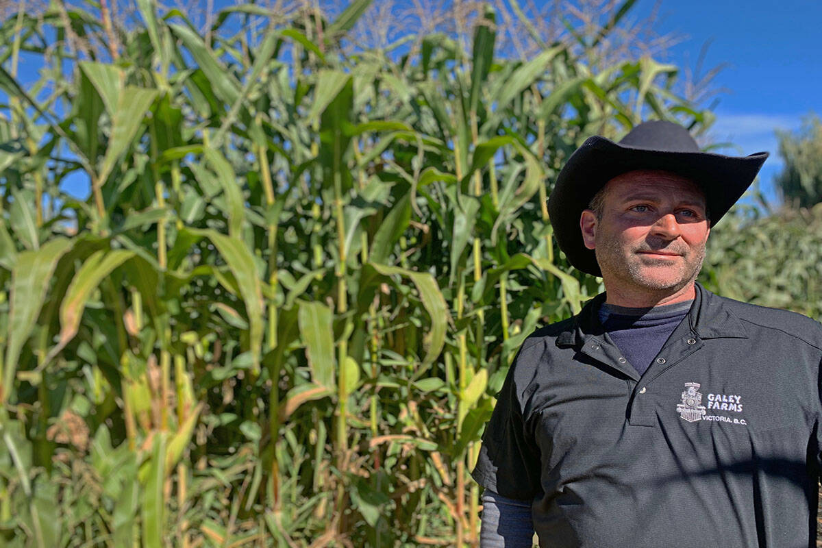 Rob Galey, owner of Galey Farms, is gearing up for fun-filled Halloween events this October. (Megan Atkins-Baker/News Staff)