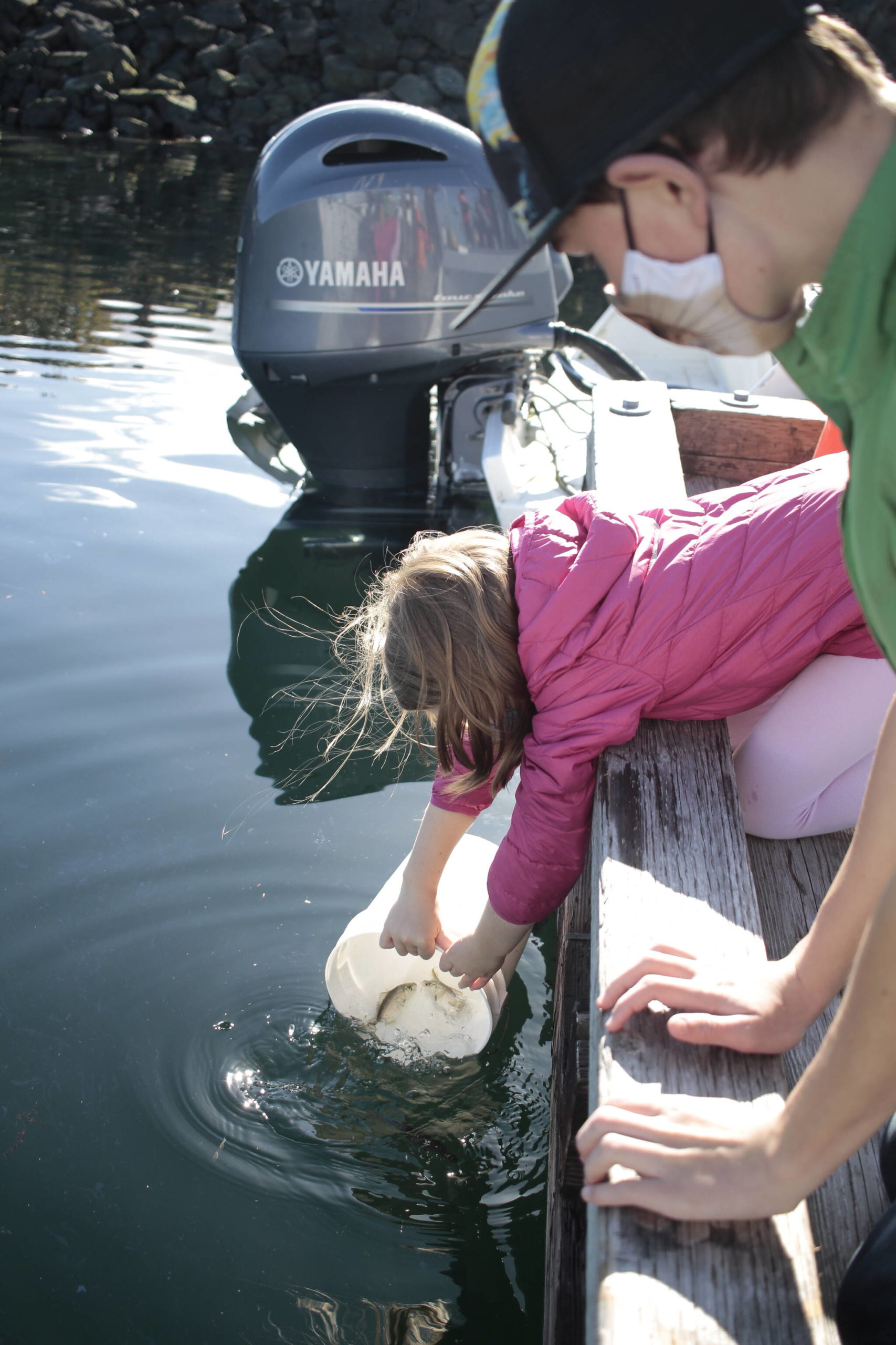 Interpreter Ethan Hart (right) helps Olivia Zacharias release some perch into the harbour in Campbell River. Photo by Marc Kitteringham / Campbell River Mirror