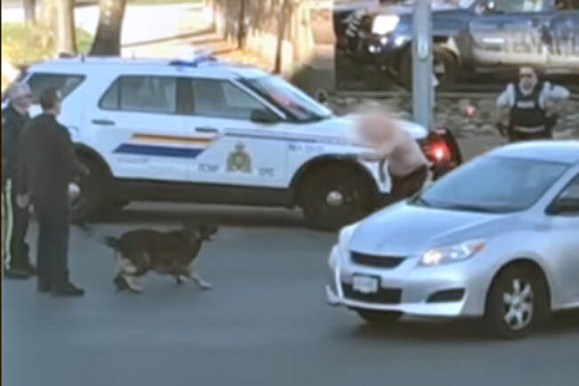 Nanaimo RCMP, with the assistance of a police dog, arrested a man who allegedly uttered threats and was walking in and out of traffic downtown on Monday, Oct. 18. (Image courtesy Porsha Paladini)