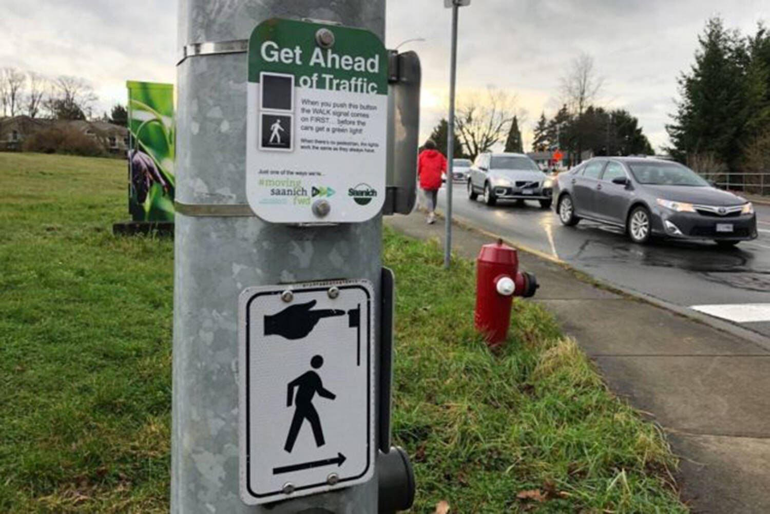 New figures from ICBC show that on average, 250 pedestrians are injured in 350 crashes every year on Vancouver Island. (Black Press Media File)
