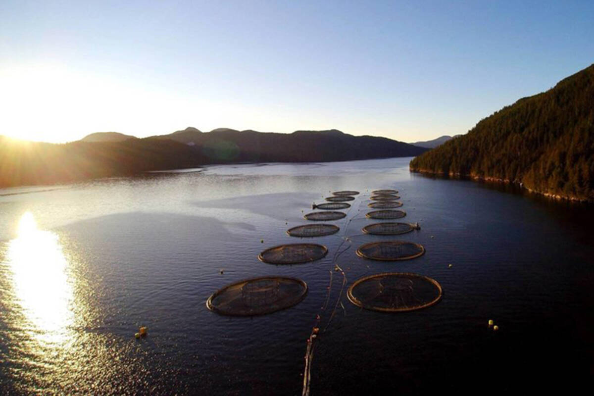 Mowi Canada West salmon farm in B.C. waters. (Photo supplied by Mowi Canada)