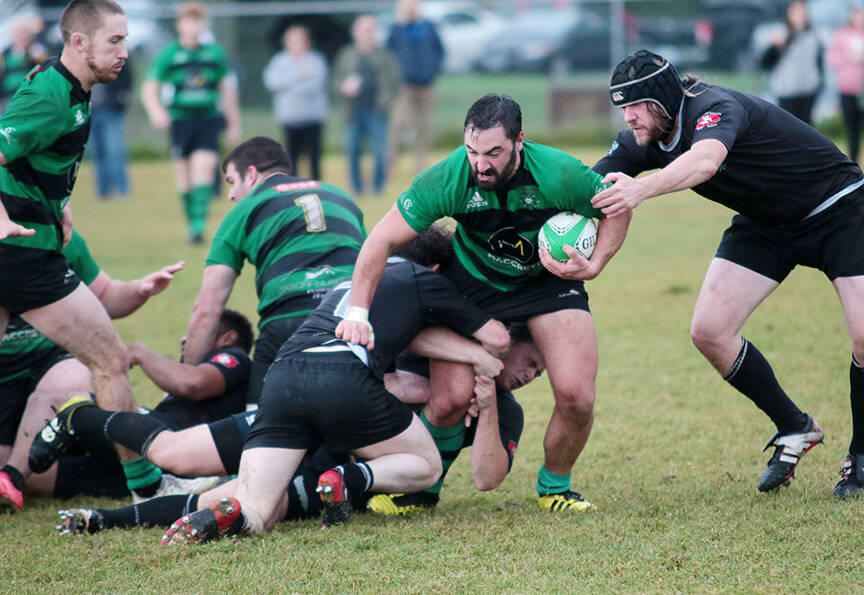 Cowichan’s Robin Gusse takes the ball out of a ruck during the Piggies’ win over Port Alberni at the Herd Road pitch last Saturday. (Kevin Rothbauer/Citizen)
