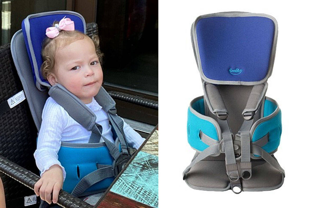 West Shore RCMP is asking for help locating a child’s special travel seat that was lost around Thanksgiving somewhere between Victoria and Duncan. (Courtesy West Shore RCMP)