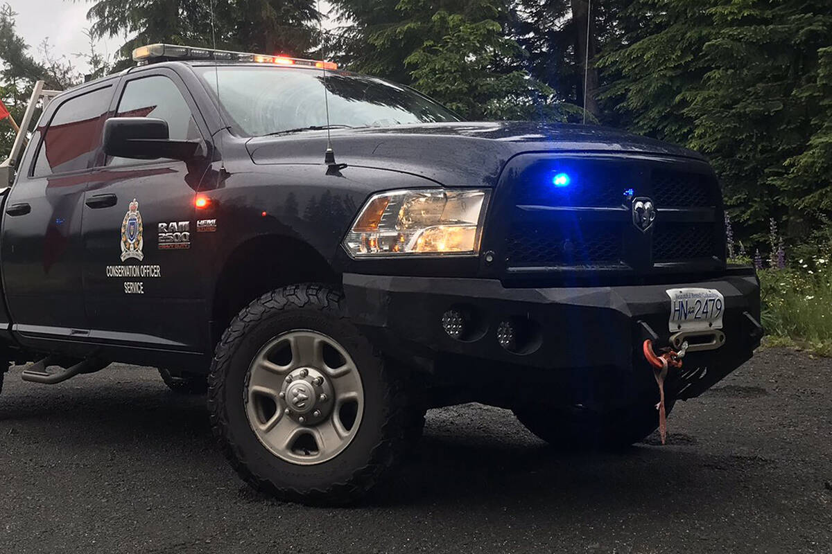(Twitter/BC Conservation Officer Service)