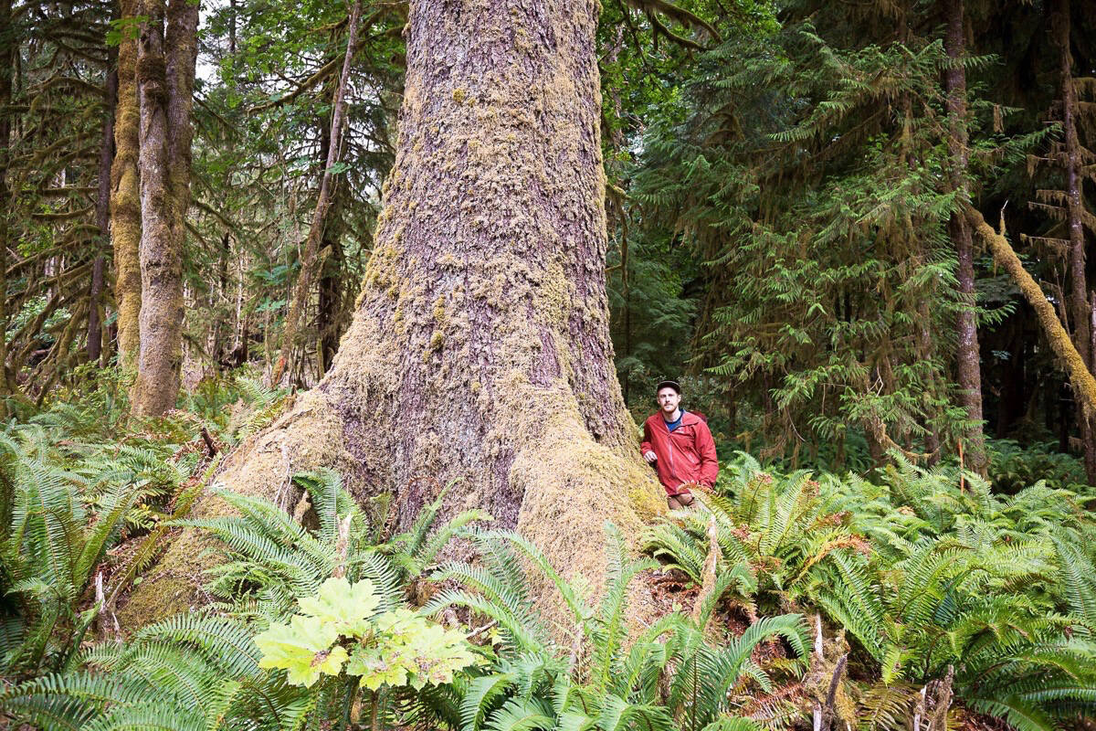 Conservation photographer TJ Watt has won the Trebek Initiative grant and named a National Geographic Explorer and Royal Geographic Society Explorer for his work to protect B.C.’s old-growth forests. (Contributed - TJ Watt)