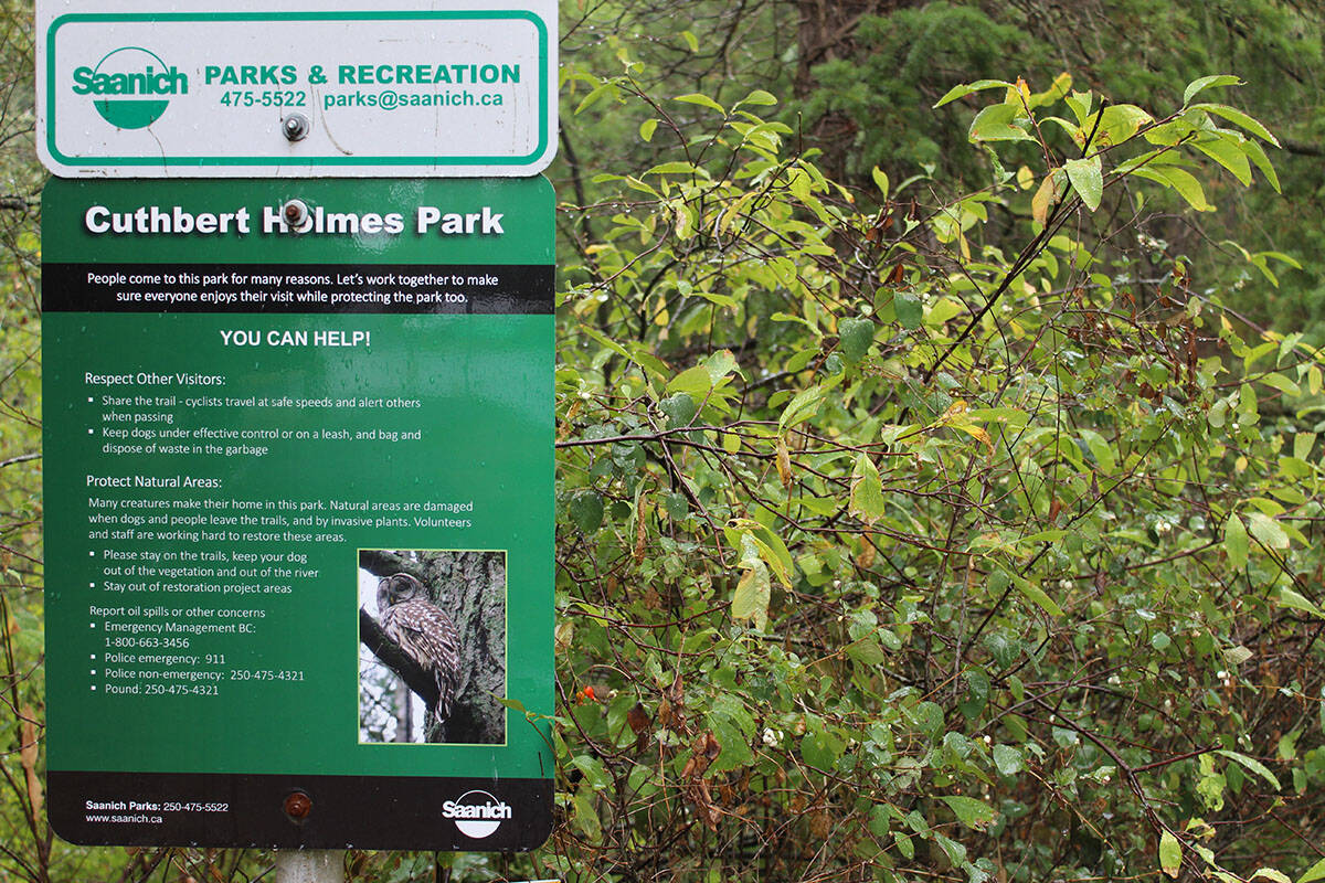 Saanich Parks and Recreation received a digital communications award for its Natural Intelligence campaign encouraging residents to spend more time outdoors in places like Cuthbert Holmes Park. (Megan Atkins-Baker/News Staff)