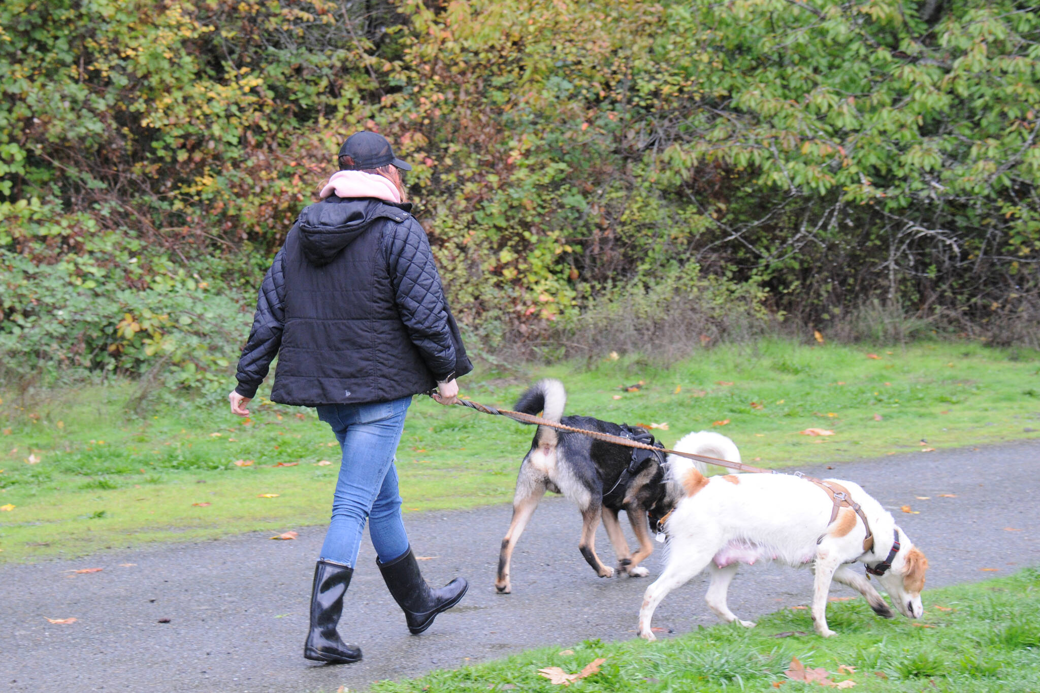 Kayla Garcia walks her dogs daily at Dry Creek Park, and says she finds drug paraphernalia and other garbage in the park every day. She is concerned pop-up warming centres will add to the problem. (SUSAN QUINN/ Alberni Valley News)