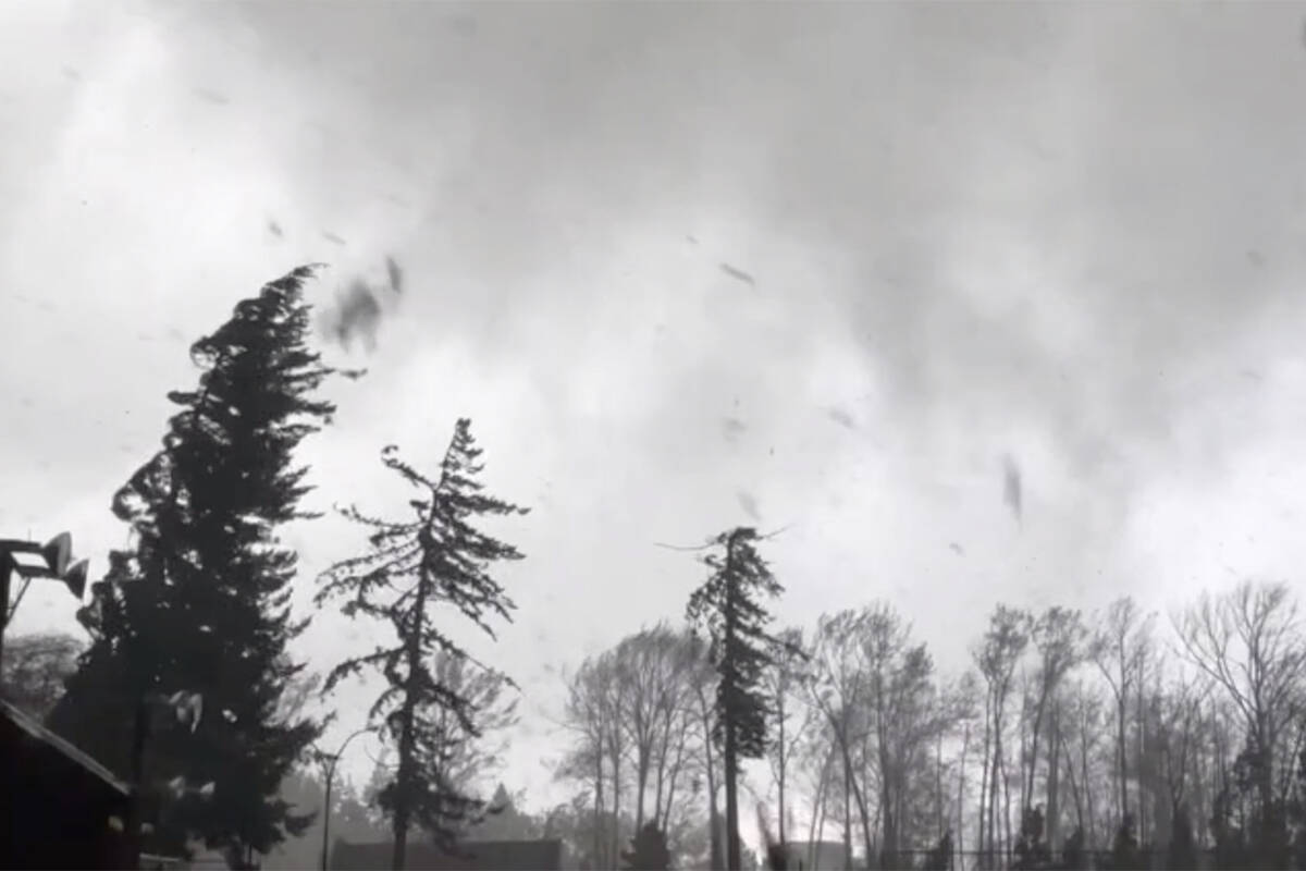 A YouTube video shows strong winds and their aftermath at the University of B.C. campus on Saturday, Nov. 6, 2021. (Xsong/YouTube)