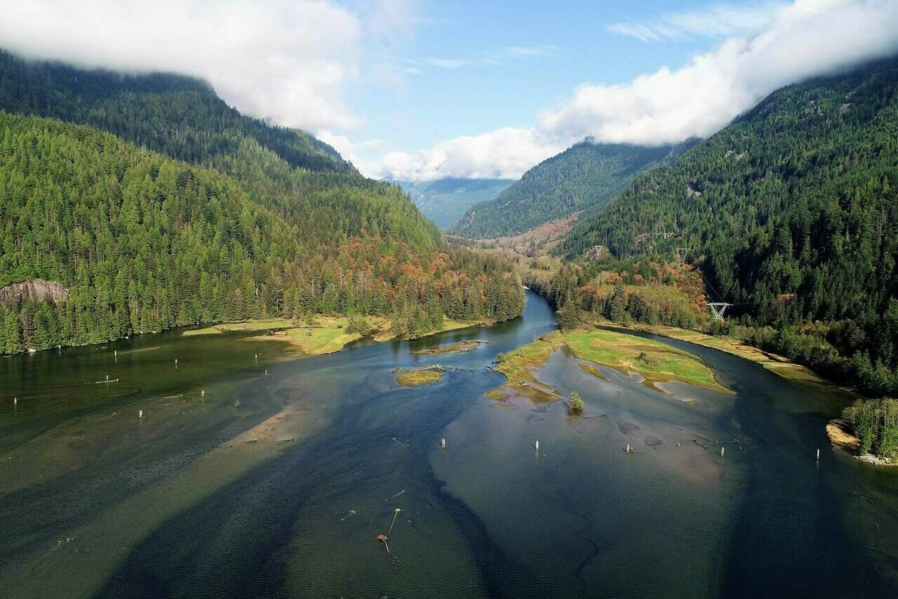 The Indian River estuary, which connects the ocean inlet around North Vancouver, B.C., to the freshwater river, is shown in this undated aerial photo. A new study on salmon bones dating back thousands of years shows the Tsleil-Waututh Indigenous nation around North Vancouver targeted male salmon for their meat and to sustain the fishery. THE CANADIAN PRESS/HO - Tsleil-Waututh Nation