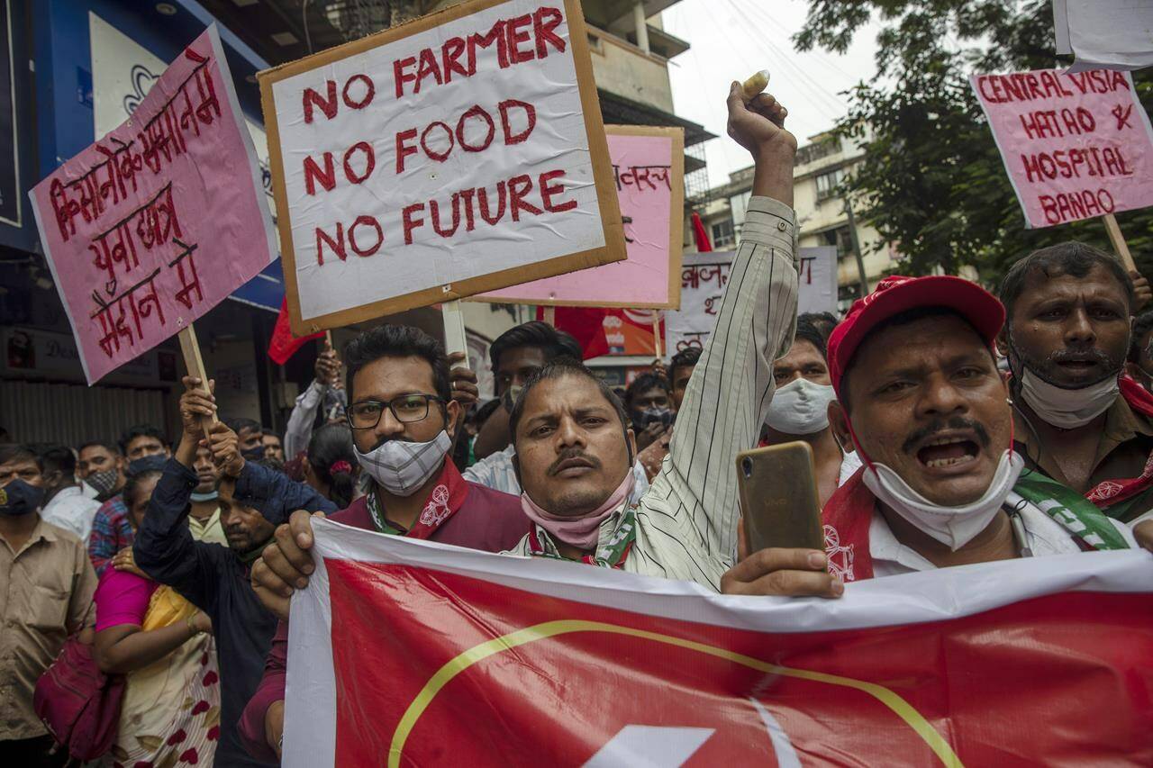 File - Members of Communist Party of India shout slogans during a protest against farm laws in Mumbai, India Monday, Sept. 27, 2021. Prime Minister Narendra Modi, on Friday, Nov. 19, 2021, has said his government will withdraw the controversial farm laws that were met with year-long demonstrations from tens of thousands of farmers who said the laws will shatter their livelihoods. The drawn-out demonstrations have posed one of the biggest political challenges to Modi, who swept the polls for the second time in 2019. (AP Photo/Rafiq Maqbool, File)