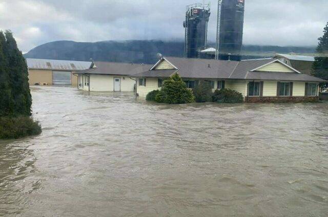 Flooding of a Sumas Prairie farm on Nov. 23. The family farm owners don’t expect to be able to access their property for a few weeks. (Tiffany de Leeuw/CP photo)
