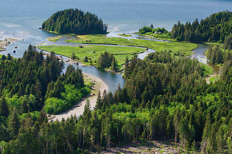 The Sarita Estuary sits at the heart of the Huu-ay-aht First Nations’ ḥahuułi (traditional territory) and has been a source of food, transportation and cultural value to the nations for generations. (SUBMITTED PHOTO)