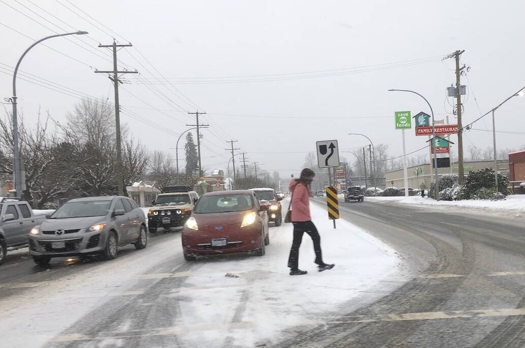 Bitter cold has gripped much of B.C., including south and central Vancouver Island. (Kevin Rothbauer/Citizen)