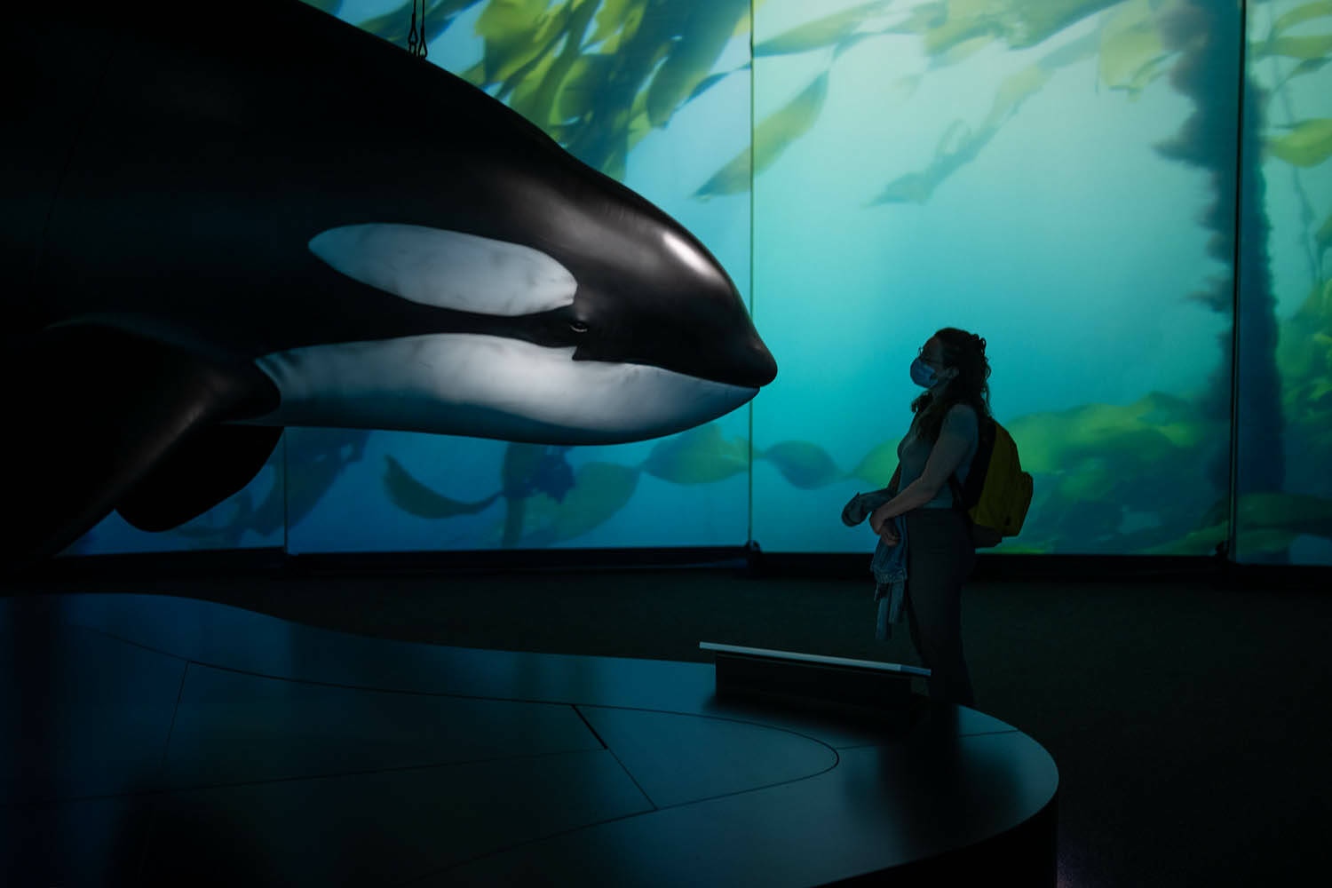 The Royal B.C. Museum is home to one of many family-friendly exhibits open this week. (Courtesy of Royal B.C. Museum)