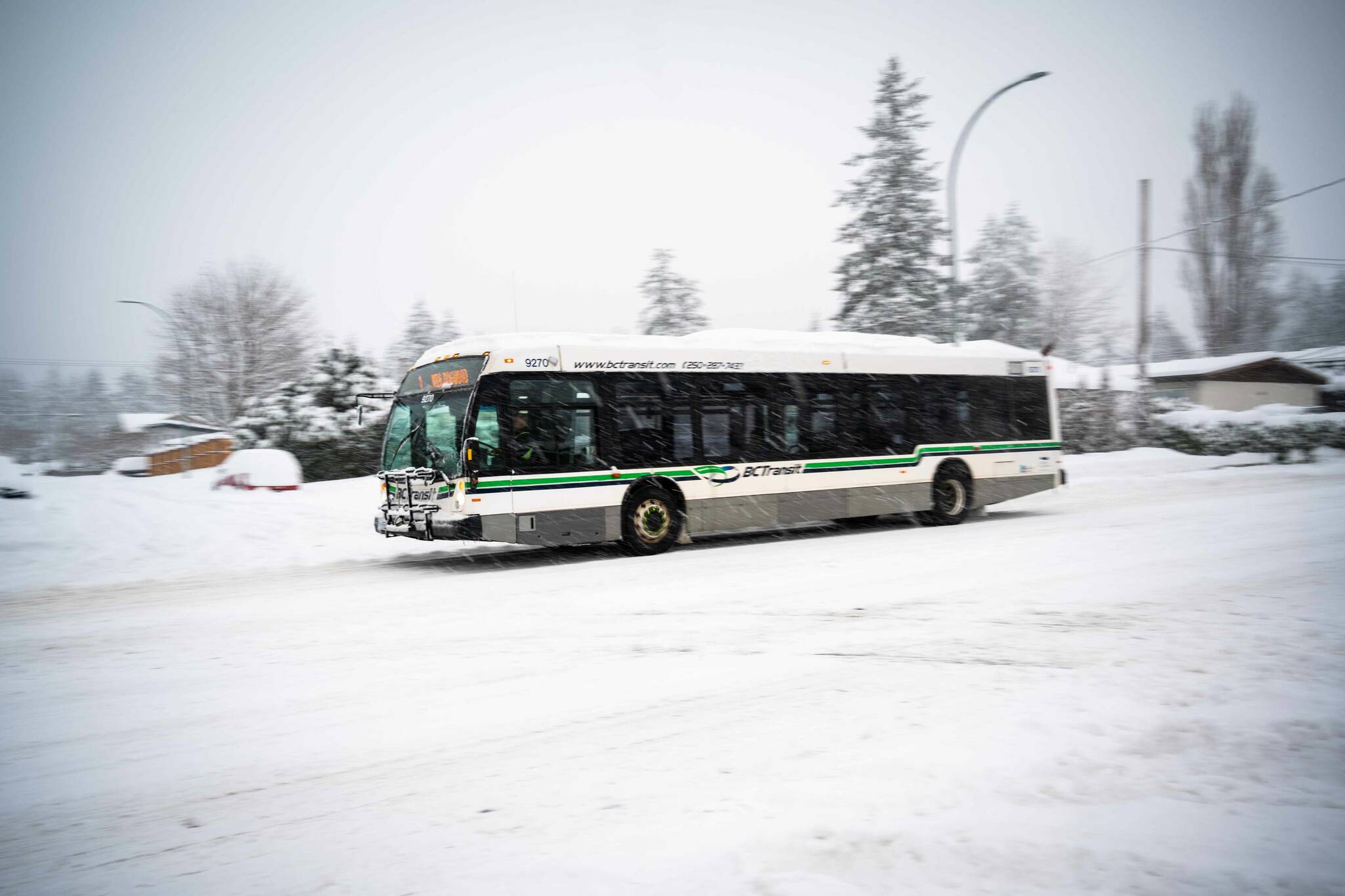 A bus travels on Dogwood Street amid a snowstorm in Campbell River. Note snow-clearing for municipal and provincial roads are separate operations. Photo by Sean Feagan / Campbell River Mirror.