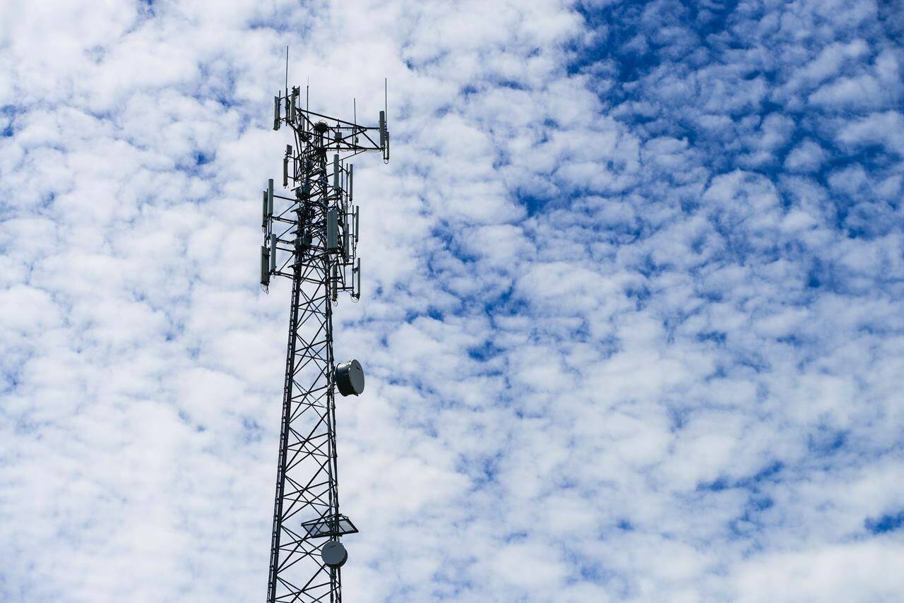 Vic-Alert informs subscribers of major emergencies or disasters that could affect city of Victoria locations and residents. They include wide threats such as tsunamis, local incidents such as gas leaks, and neighbourhood-specific concerns such as an evacuation order. (Black Press Media file photo)
