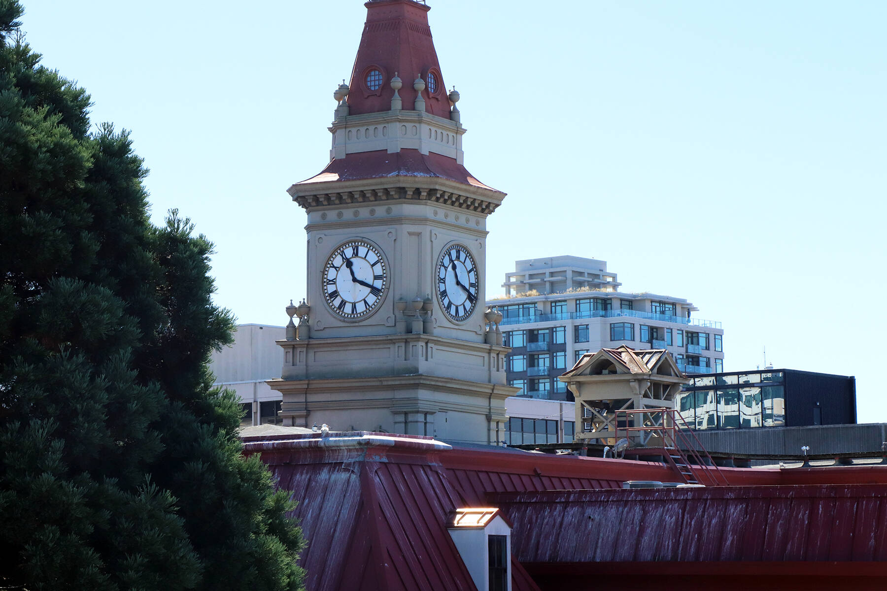 Late morning view southward over the top of Victoria city hall, as seen from the top of the Fisgard Street parkade. (Don Descoteau/Black Press Media)