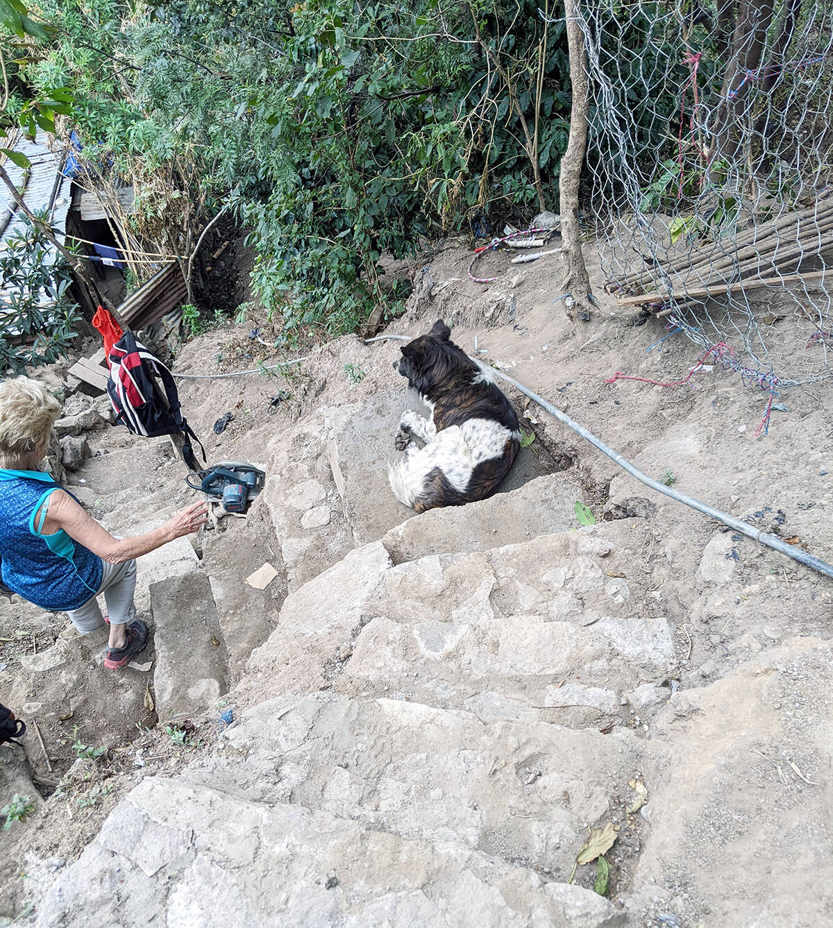 Pepe, the family dog, enjoys the new stone stairs. (Photo by Gerry Beltgens)