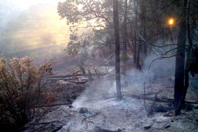 A wildfire in July 2017 on Mount Manuel Quimper destroyed more than a hectare of forest land. The fire was likely human-caused. (File - Sooke Fire Rescue)