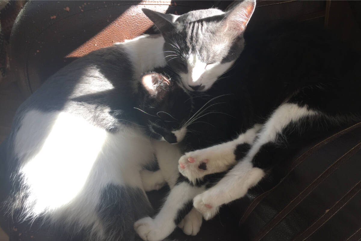 Junior and Chloe. (Photo courtesy Kathy Zilkie)