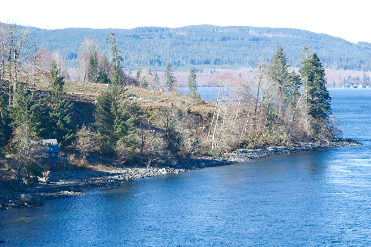 Land cleared for “Ripple Rock Estates,” as viewed from Race Point, north of Campbell River. Photo by Sean Feagan / Campbell River Mirror.
