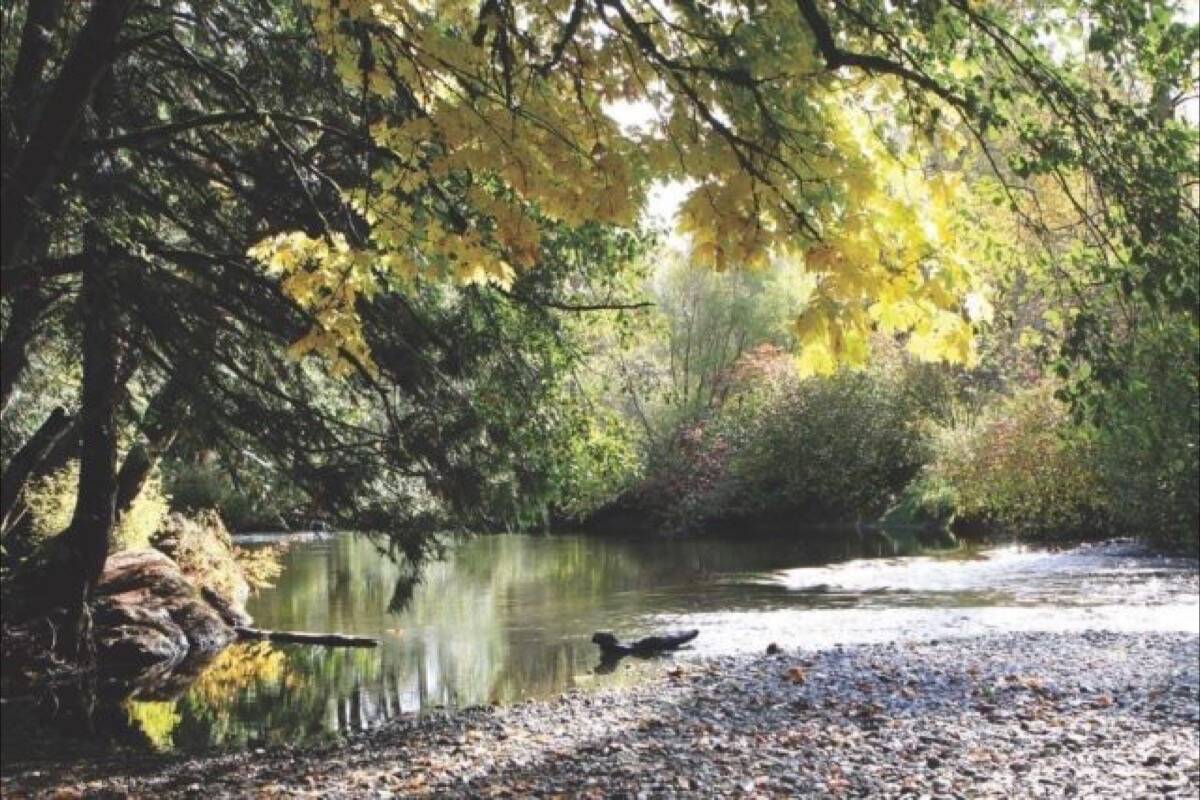 Cowichan Tribes, province have reached an agreement to develop a water sustainability plan for the Koksilah watershed. (File photo)