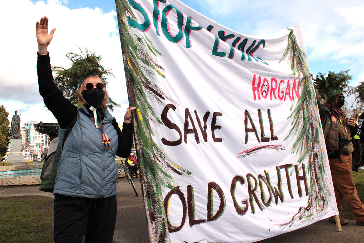 A participant at a rally for old-growth forest conservation outside the B.C. legislature on Feb. 14.(Jake Romphf/News Staff)