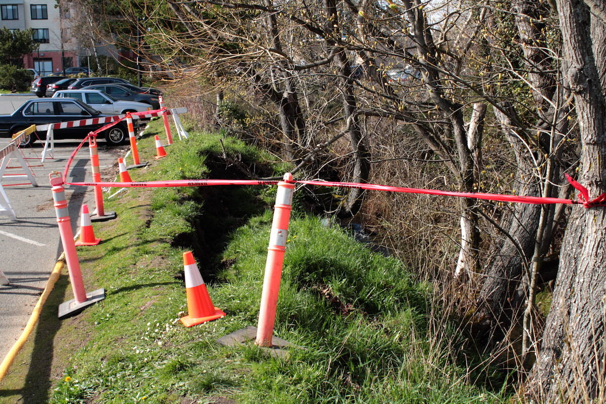 A collapsed section of Bowker Creek at the Oak Bay Recreation Centres parking lot. (Jake Romphf/News Staff)