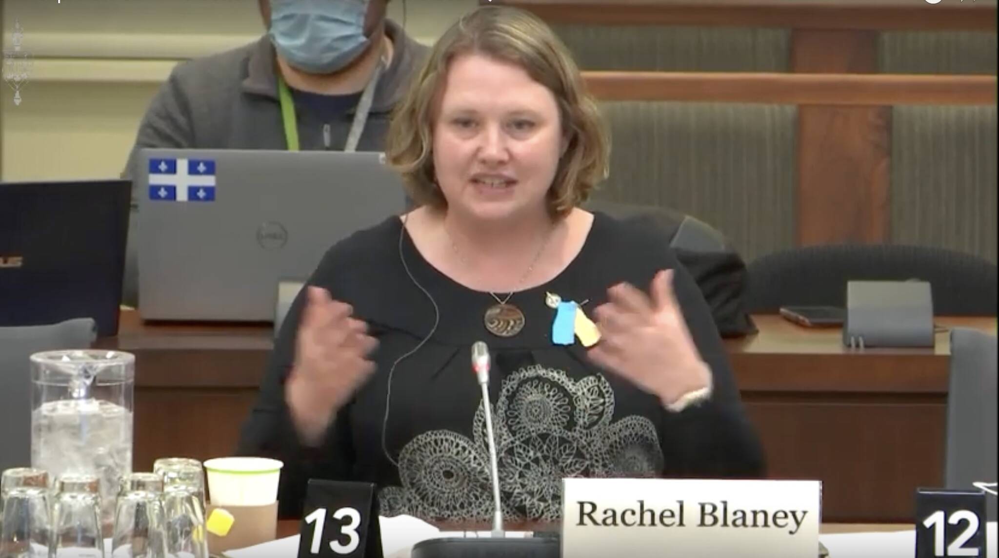 North Island-Powell River MP Rachel Blaney speaks during the Standing Committee on Veterans Affairs meeting on March 23. Photo courtesy Youtube
